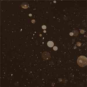 Alaskan Night Bears - Champion Sound download free