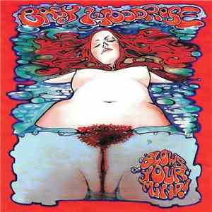 Baby Woodrose - Blows Your Mind! download free