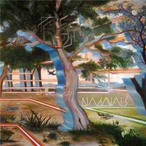 Diagonals - Valley Of The Cyclops download free