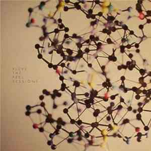 Fluke - The Peel Sessions download free