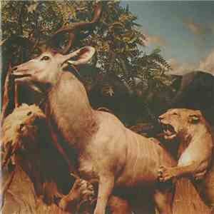 Interpol - Our Love To Admire download free