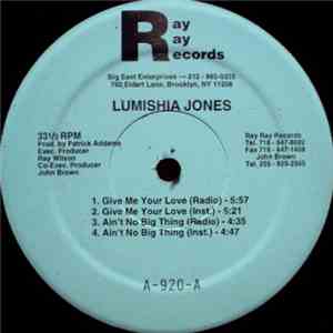 Lumishia Jones / Rock-A-Bye-Fam - Give Me Your Love / Don't Waste Your Time download free