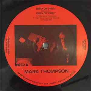 Mark Thompson  - Bird Of Prey download free