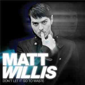 Matt Willis  - Don't Let It Go To Waste download free