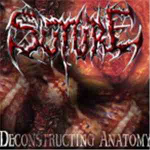 Suture - Deconstructing Anatomy download free