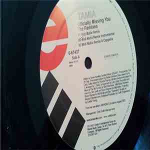 Tamia - Officially Missing You (The Remixes) download free