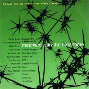 Various - Comes With A Smile Vol.12 (Meanwhile, In The Meantime) download free