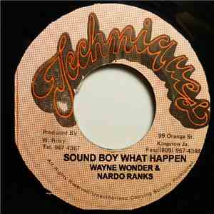 Wayne Wonder & Nardo Ranks - Sound Boy Wah Happen To You download free