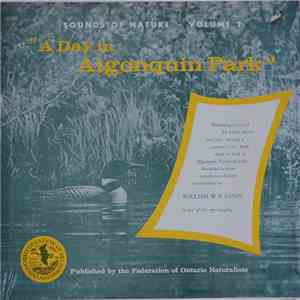 William W. H. Gunn - A Day In Algonquin Park download free